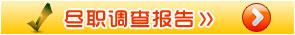 第三方尽职调查报告
